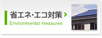 ʥ͡кEnvironmental measures