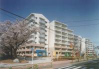 �ĸ������裱������