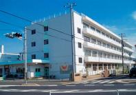 ����ë��Ω���ܾ����ع������˳��ɲ�������