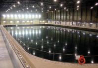 ���������³���Ƹ�����