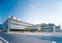 ���׻�̱�±�