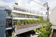 ɴ��Į�ӥ��������