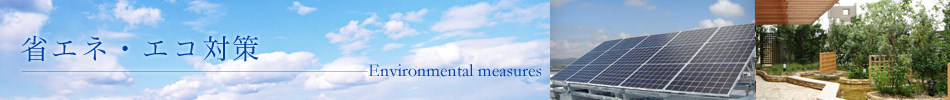 ʥ͡кEnvironmental measures